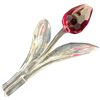 Image 2 : 2001 Swarovski Crystal 3.5" Tulip in Original Box with Stand