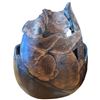 Image 3 : Carved Koala and Taha Māori Spiral Design Gourd Tallest is 16" Tall