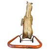 Image 4 : Vintage Lines Bros Tri-Ang Push Along Toy Horse with Red Metal Frame 18" Tall at the Horses Head