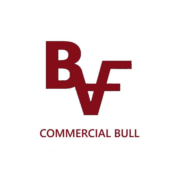 Lot 24 - Brumfield Commercial Bull