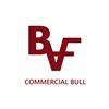 Image 1 : Lot 24 - Brumfield Commercial Bull