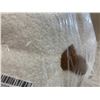 Image 2 : White Pumpkin Stuffy