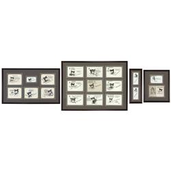 Political cartoonist Clifford Berryman teddy bear invitations (19), 3 framed collections from 1938-1