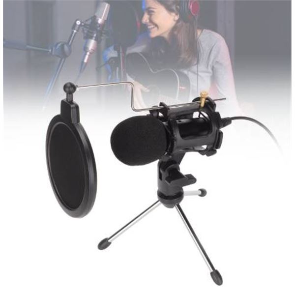 Professional Studio Condenser Microphone KitÂ