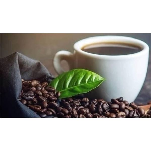 Mother Parkers Seattle Blend Whole Bean Coffee 2 LB 907 G