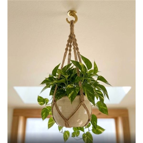 Lot of 9 - Cobra Ceiling Driller 3224 Self-Drilling Swivel Hook Set for Drywall and Wood