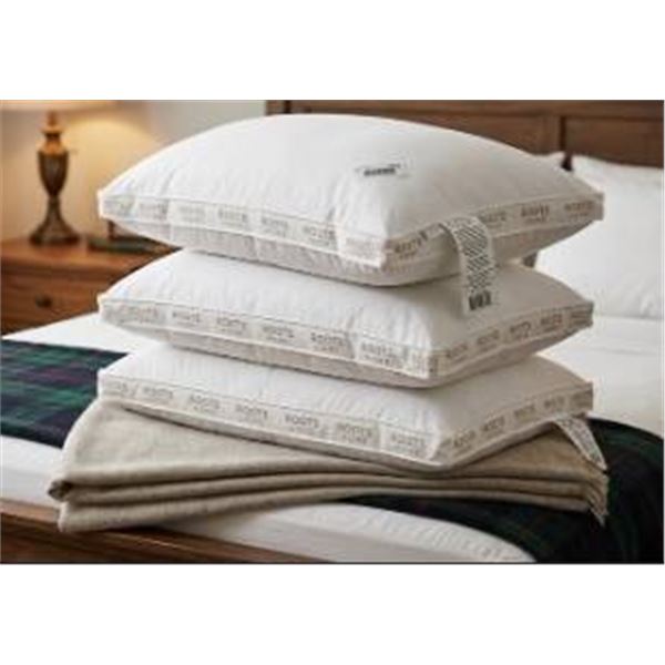 3 Roots Home Pillows with White Covers