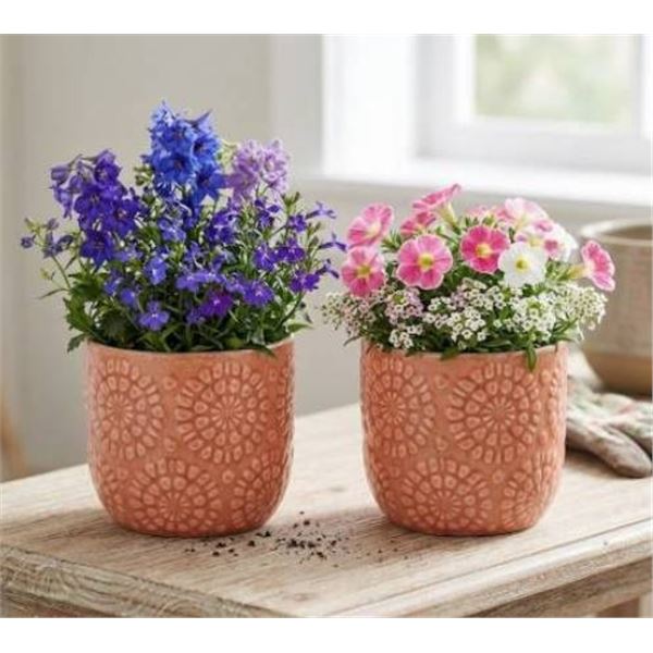 Stone & Beam Floral Embossed Planter, Small, Coral
