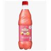 Image 1 : Canada Dry Raspberry Lemonade Ginger Ale 24 x 500 mL Bottles
