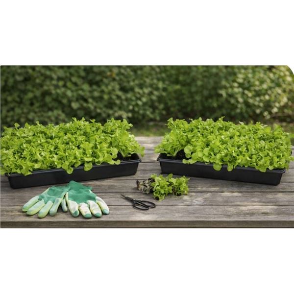 Lot of 2 - Root Farm Seed Starting Kit, 50 seed pods per tray