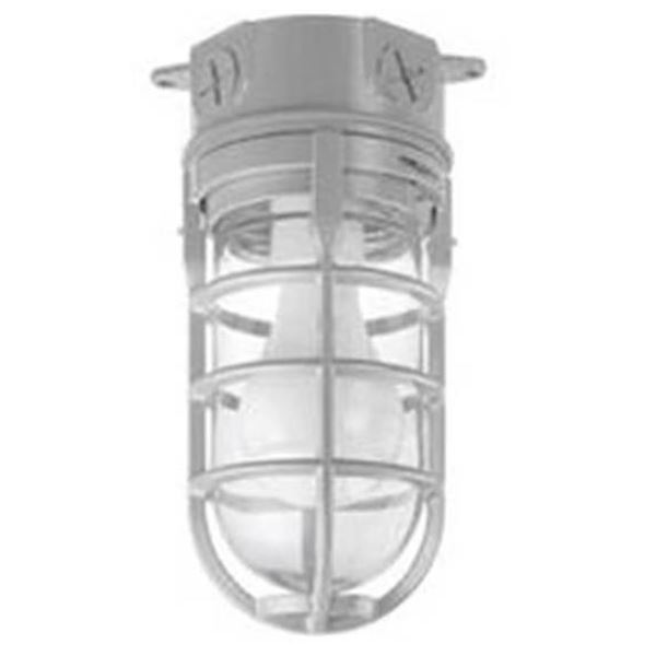Carlon MCL150C Metal Cage Lights (2 Pack)