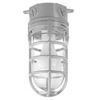 Image 1 : Carlon MCL150C Metal Cage Lights (2 Pack)