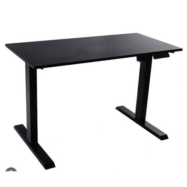 TechOrbits Electric Sit-Stand Desk