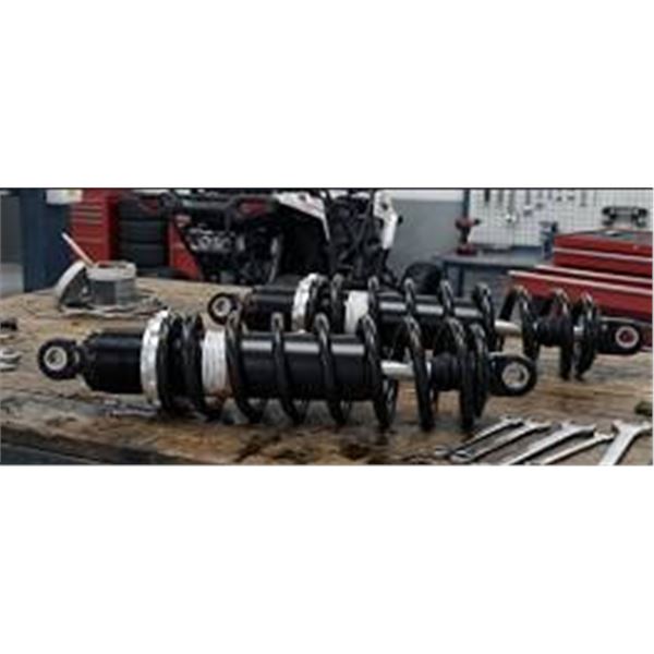 Caiman Rugged Terrain Shocks Pair