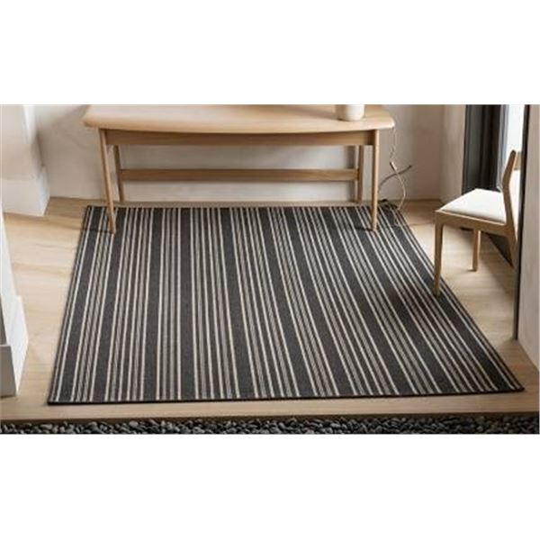 46x72 Inch Decorative Vestibule Rug