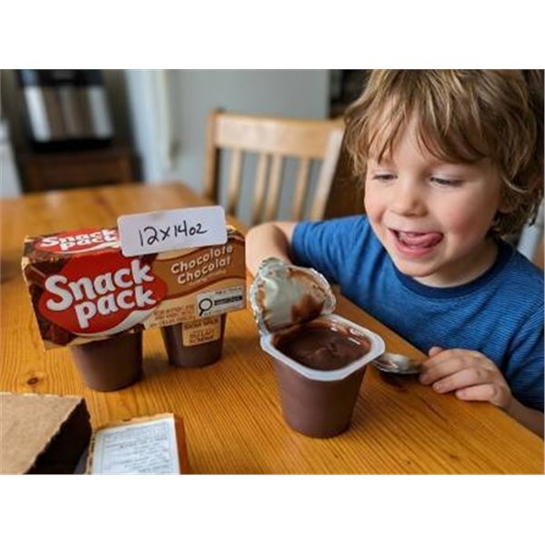 Snack Pack Chocolate Pudding 12x140g