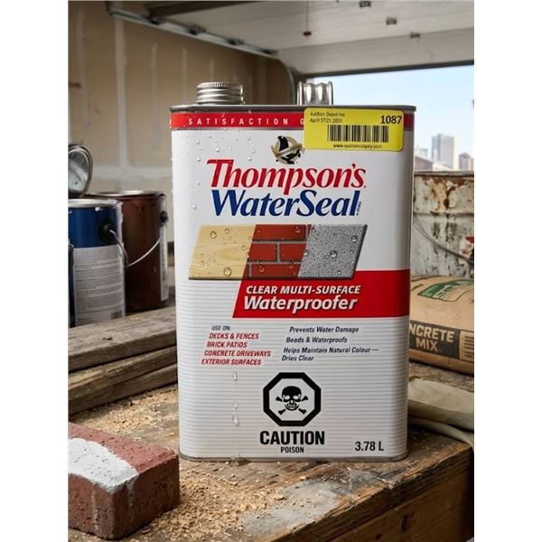 Thompson's WaterSeal Clear Multi-Surface Waterproofer 3.78 L