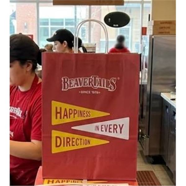 BeaverTails Kraft Paper Bags With Twisted Handles, 14" x 10" x 15.5" Bag Lot of 200Â