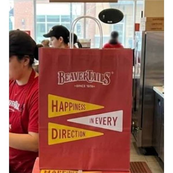 BeaverTails Kraft Paper Bags With Twisted Handles, 14â€³ x 10â€³ x 15.5â€
