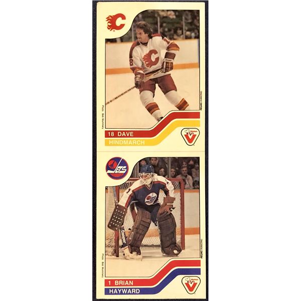 1983-84 VACHON CAKES NHL BRIAN HAYWARD