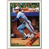 Image 1 : 1988 O-PEE-CHEE TIM RAINES (HOF)