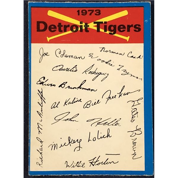 1973 O-PEE-CHEE DETROIT TIGERS