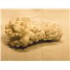 Image 1 : Aragonite Sample