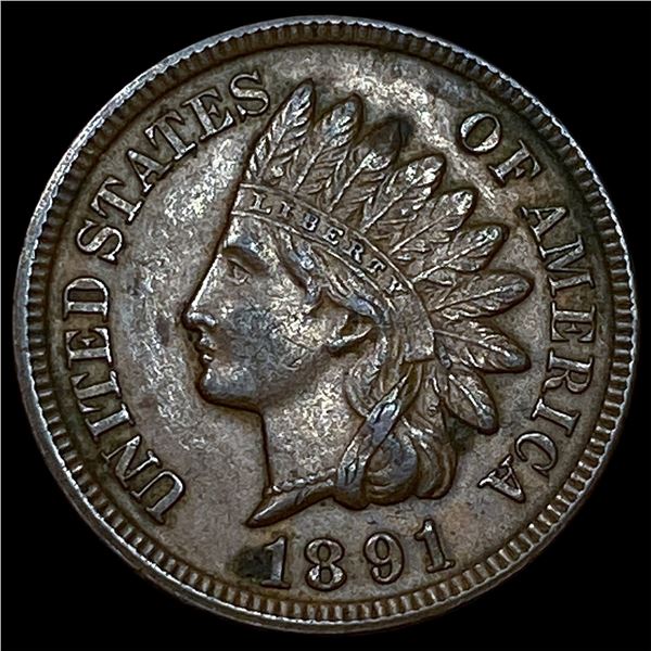 1891 Indian Head Cent CLOSELY UNCIRCULATED