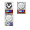 Image 2 : [3 Coins] 2013 Silver Eagle ANACS PR/MS70