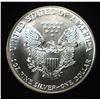 Image 2 : 1993 AMERICAN SILVER EAGLE