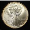 Image 1 : 1995 AMERICAN SILVER EAGLE