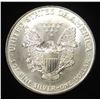 Image 2 : 1995 AMERICAN SILVER EAGLE