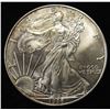 Image 1 : 1996 AMERICAN SILVER EAGLE
