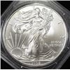 Image 1 : 2009 AMERICAN SILVER EAGLE