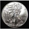Image 1 : 2013 AMERICAN SILVER EAGLE