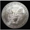 Image 2 : 2013 AMERICAN SILVER EAGLE