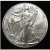 Image 1 : 2023 AMERICAN SILVER EAGLE