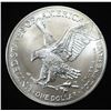Image 2 : 2023 AMERICAN SILVER EAGLE