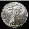 Image 1 : 2024 AMERICAN SILVER EAGLE
