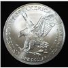 Image 2 : 2024 AMERICAN SILVER EAGLE