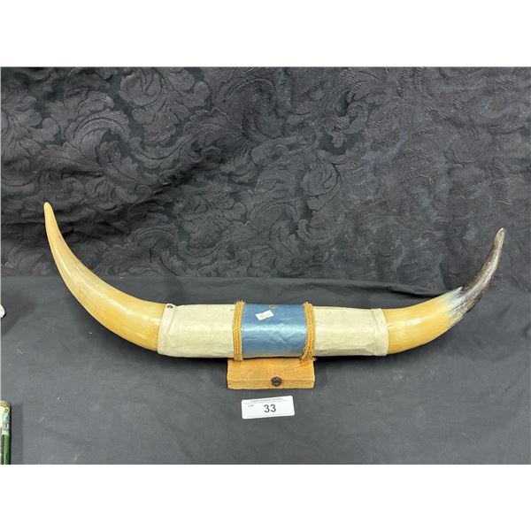 Vintage Steer horns display, 24"