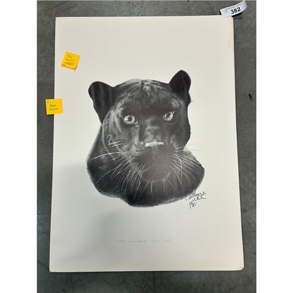 6 Black panther Catherine White prints 27"x23"