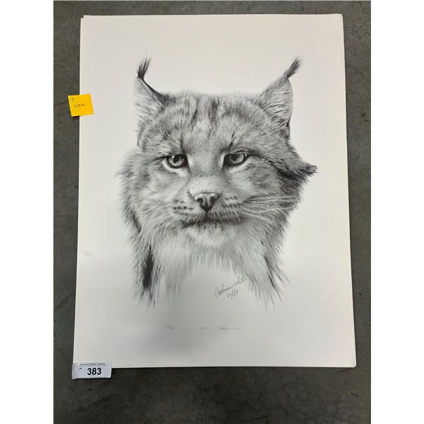 9 Lynx Catherine White prints 27"x23"