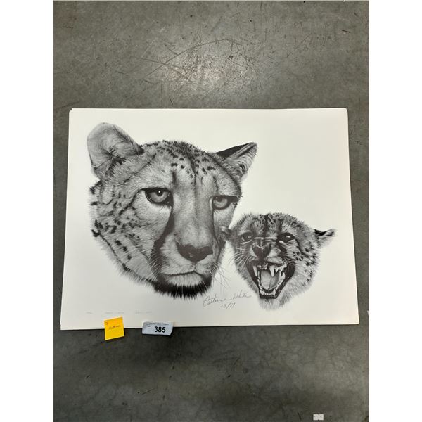 7 Cheeta Catherine White prints 27"x23"