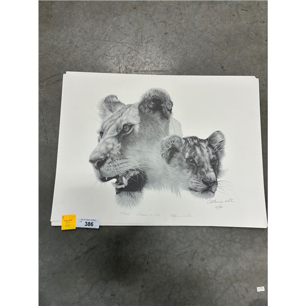 5 Lioness and cub Catherine White prints 27"x23"