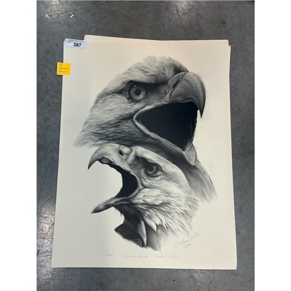 7 Eagle Catherine White prints 27"x23"