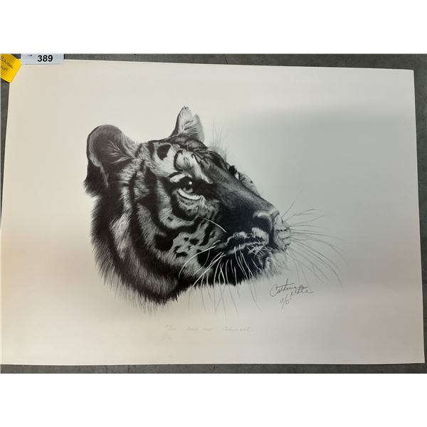 2 Tiger Catherine White prints 27"x23"