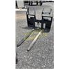 Image 1 : 2020 WOODS  PFW4448S PALLET FORKS