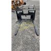 Image 1 : 2020 WOODS PFW4448S PALLET FORKS