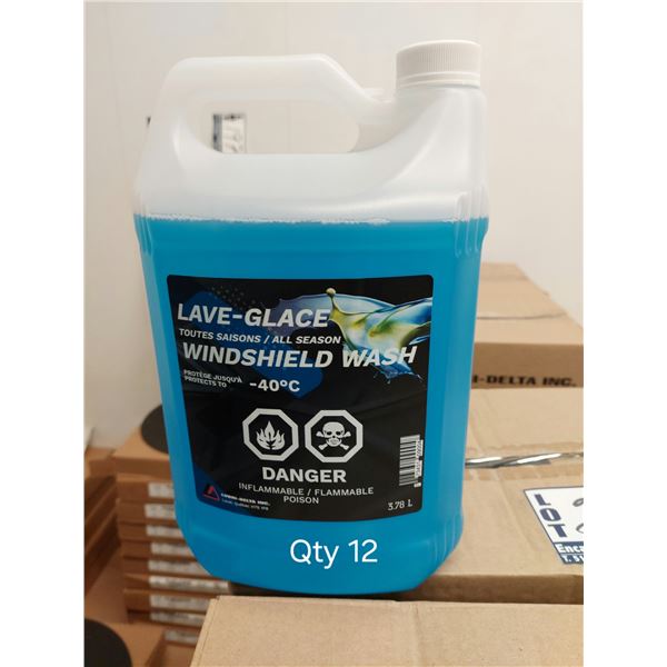 LOT DE 12 BOUTEILLES BOUTEILLE DE LAVE-GLACE -40, 4 LITRES